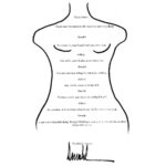 La sombra oscura del poder: la reveladora correspondencia entre Trump y Epstein