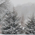 Tormenta de nieve de magnitud histórica azota el noreste de Estados Unidos, miles de viajes en peligro y economía en entredicho.