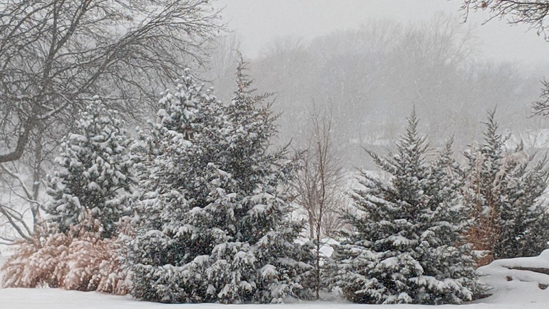 Tormenta de nieve de magnitud histórica azota el noreste de Estados Unidos, miles de viajes en peligro y economía en entredicho.