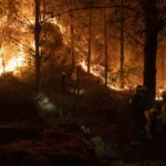 México extiende su solidaridad y asistencia humanitaria a Chile en momentos críticos ante la tragedia de los incendios forestales.