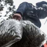 “Frontera contra la droga: México y Estados Unidos unidos para combatir la creciente amenaza del narcotráfico”